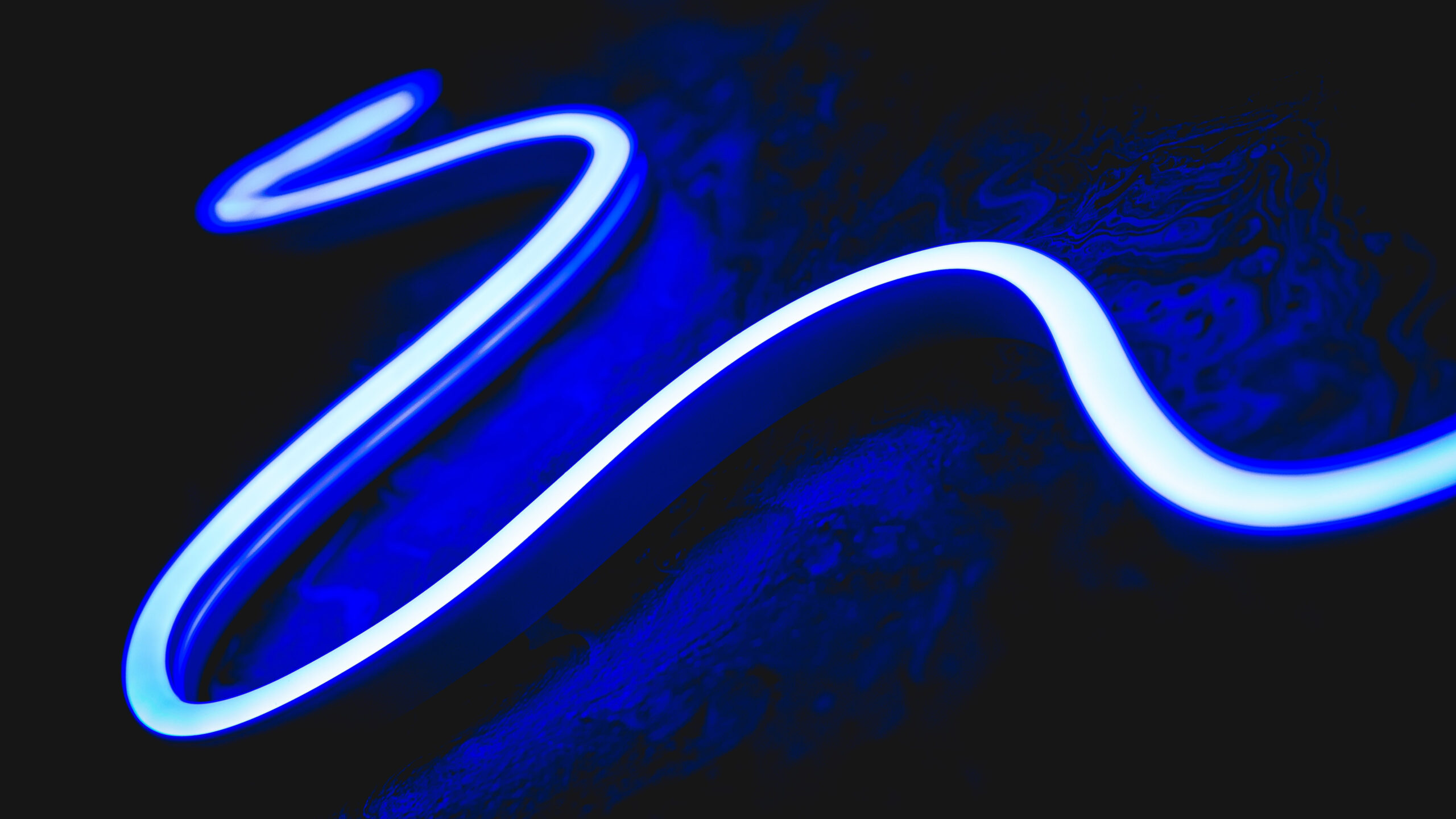 Blue Snake Neon Sign K K 2K Neon