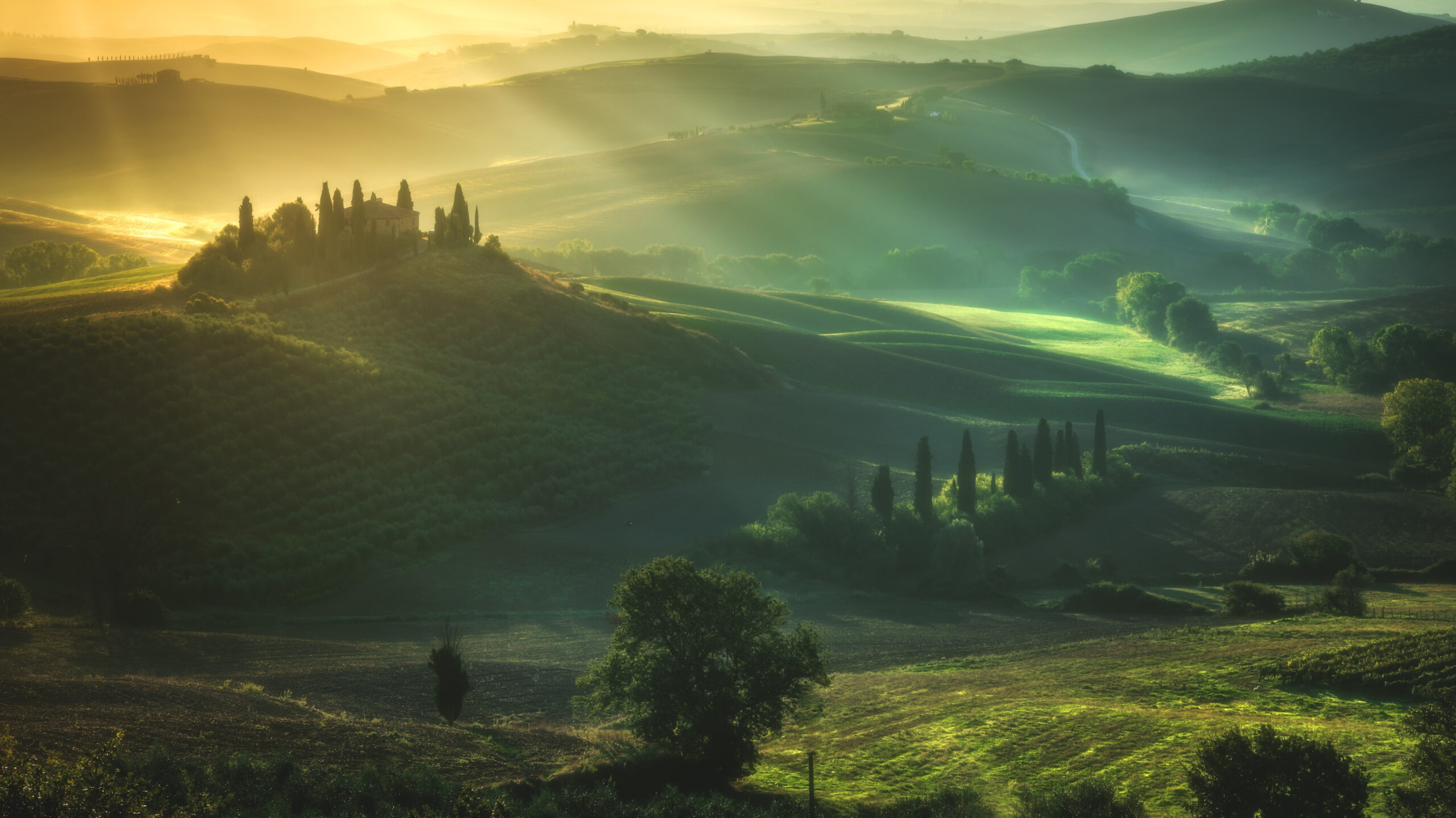 Tuscany Italy Green Trees Hills Forest Grass Bushes Mountains With Fog Sunrays Nature K K 2K Nature