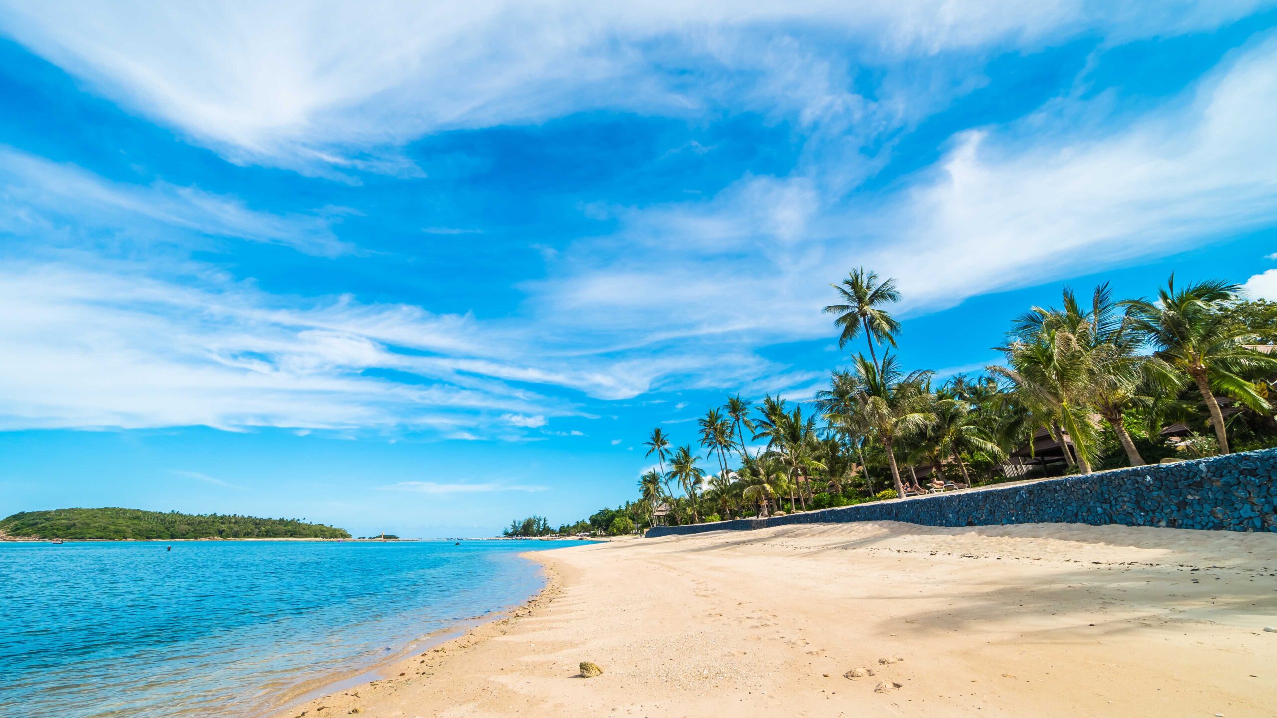 Palm Coconut Trees Island Ocean Water Beach Sand Under White Clouds Blue Sky K K 2K Nature