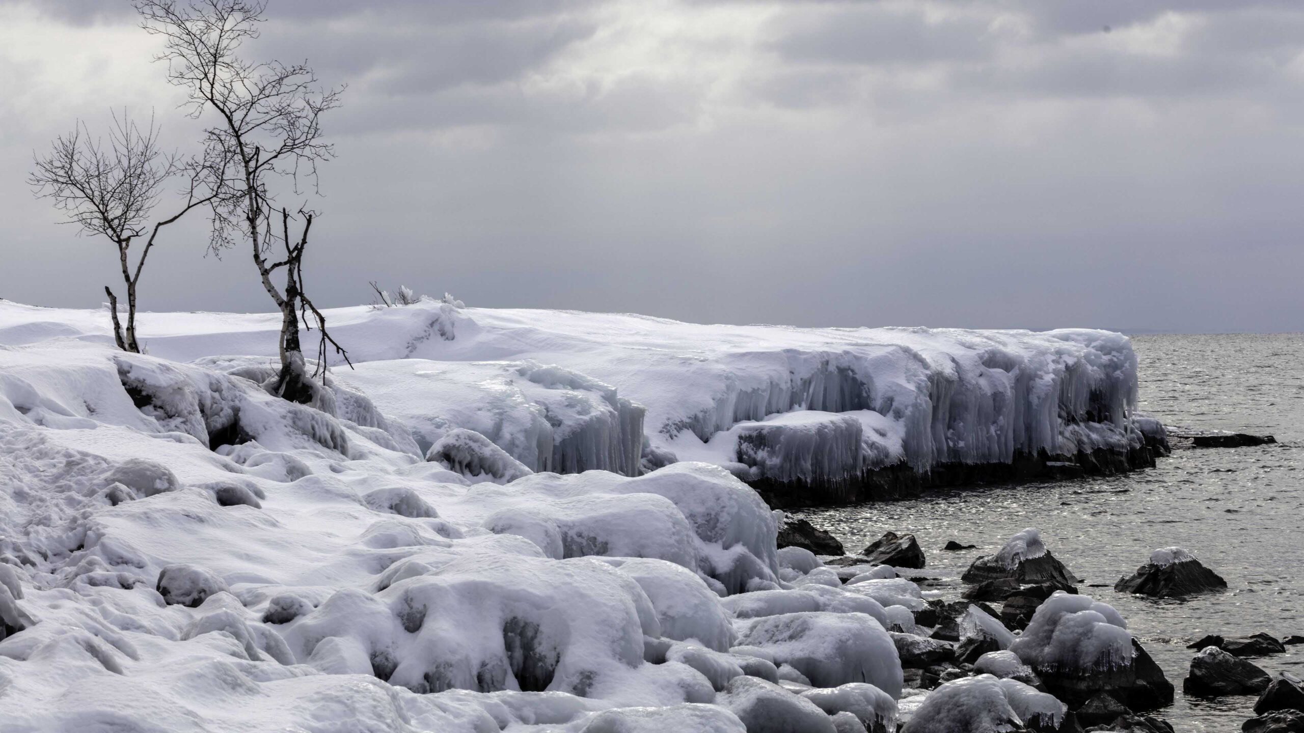 Frozen Rocks Stones Trees Branches Ocean In White Clouds Blue Sky Wallpaper K 2K Winter