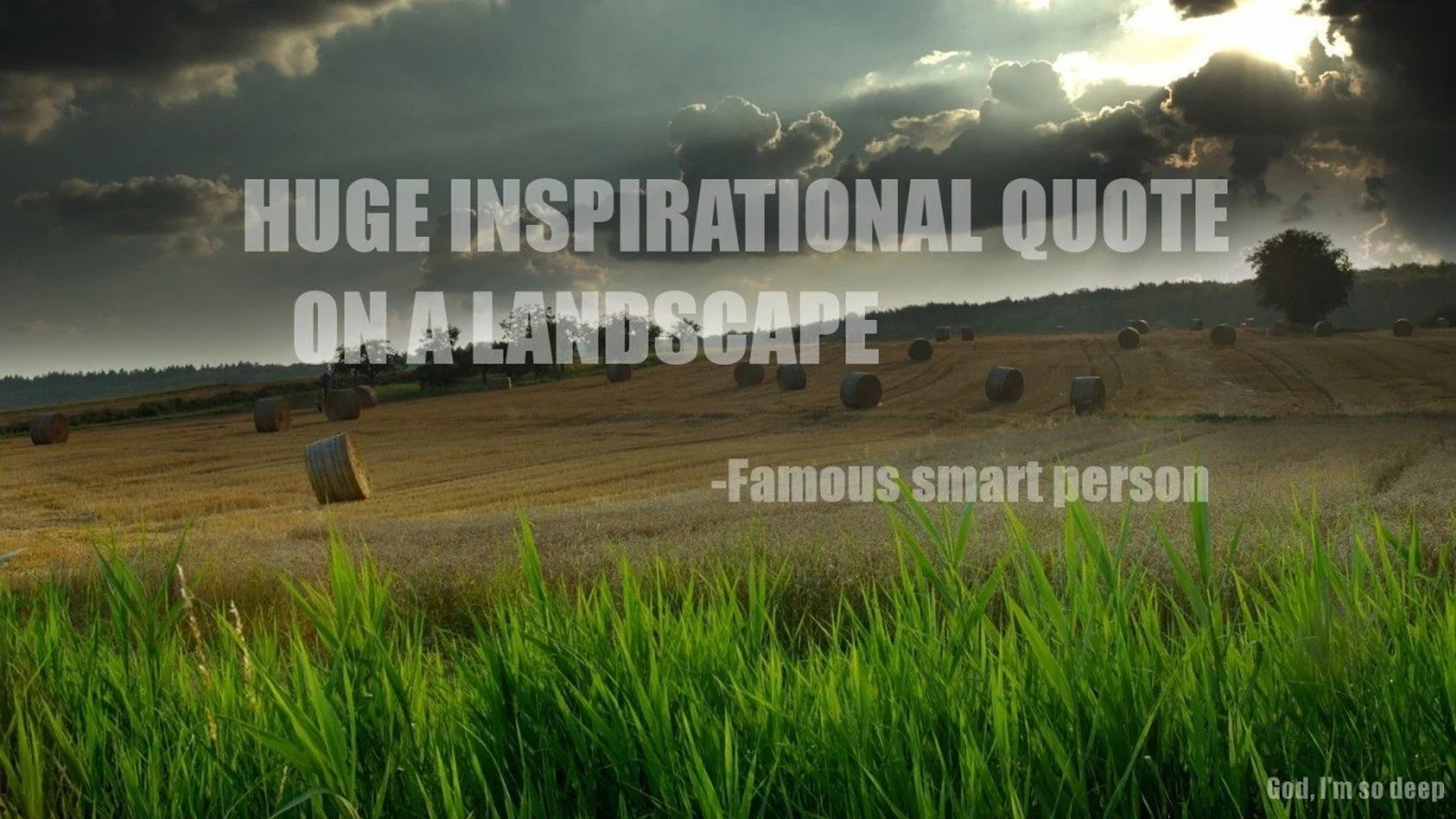 Huge Inspirational Quote On A Landscape 2K Motivational