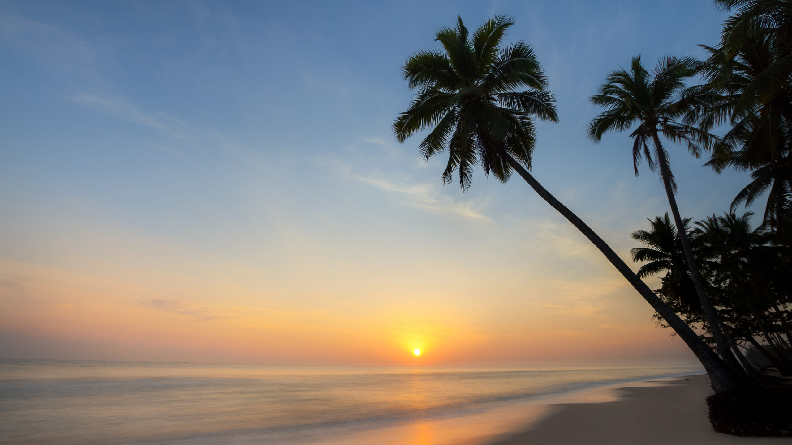Palm Trees On Beach Sand And Beautiful Ocean Waves Under Blue Sky During Sunset K K 2K Nature
