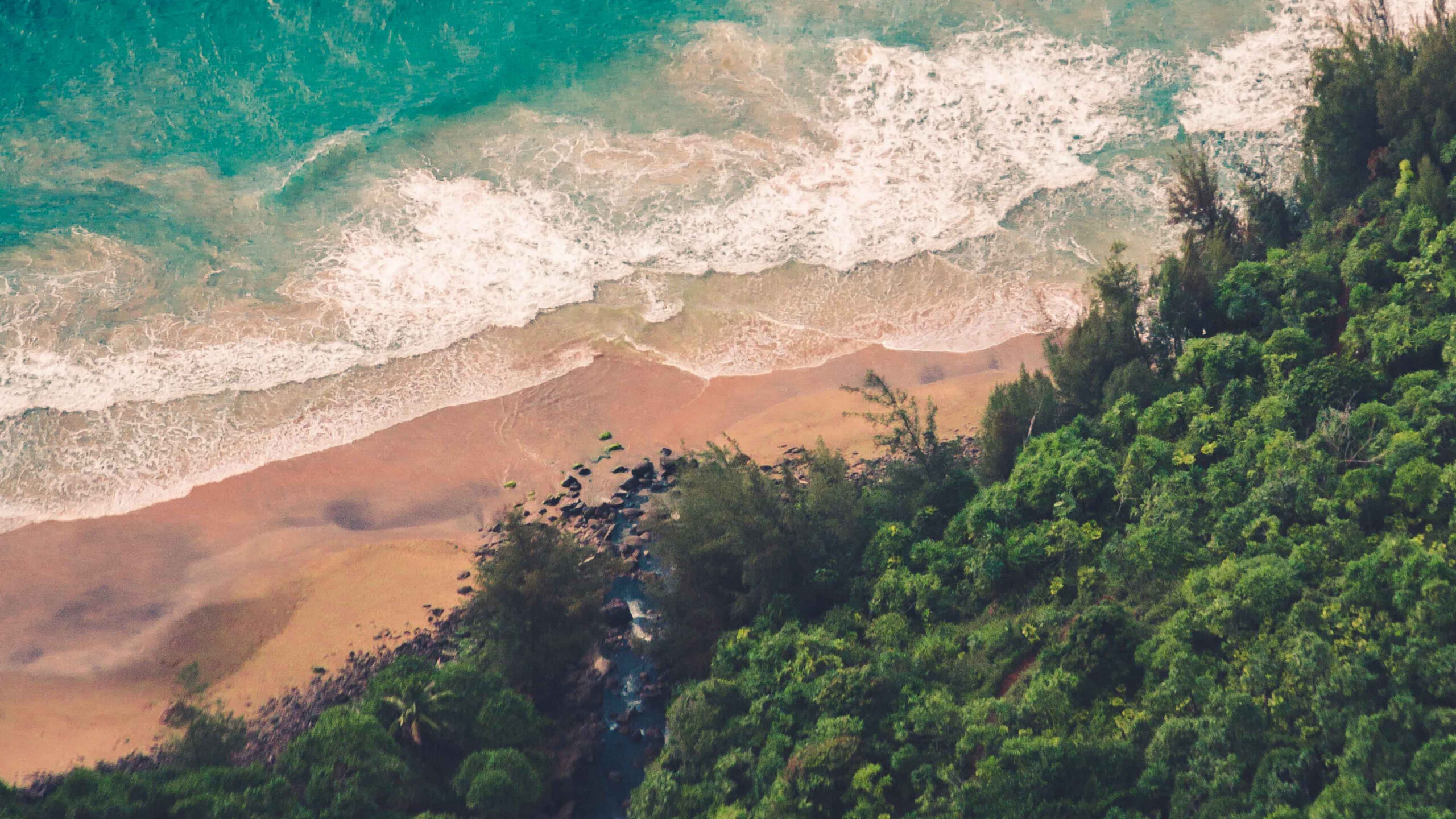Aerial View Of Sea Coast Beach Waves Trees Forest K 2K Nature