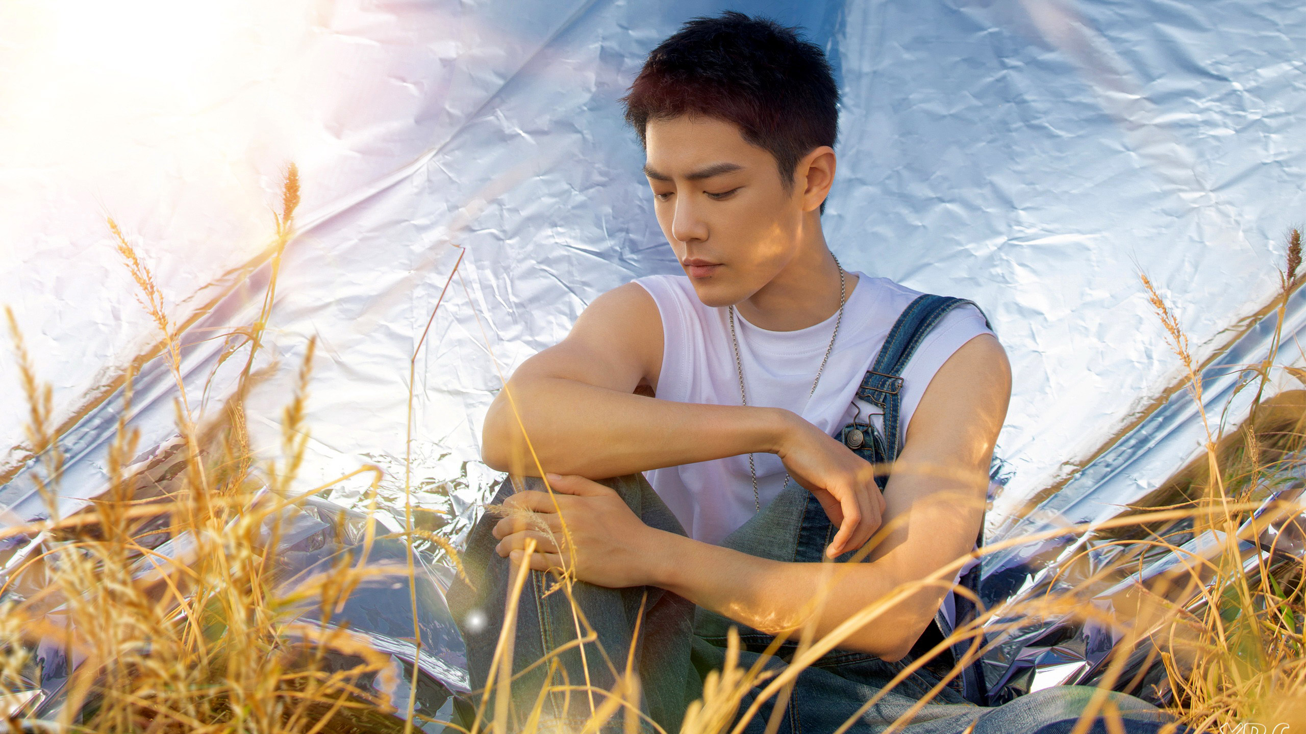 Xiao Zhan Is Sitting On Dry Grass In Crushed White Sheet Wallpaper Wearing White Blue Dress 2K Boys