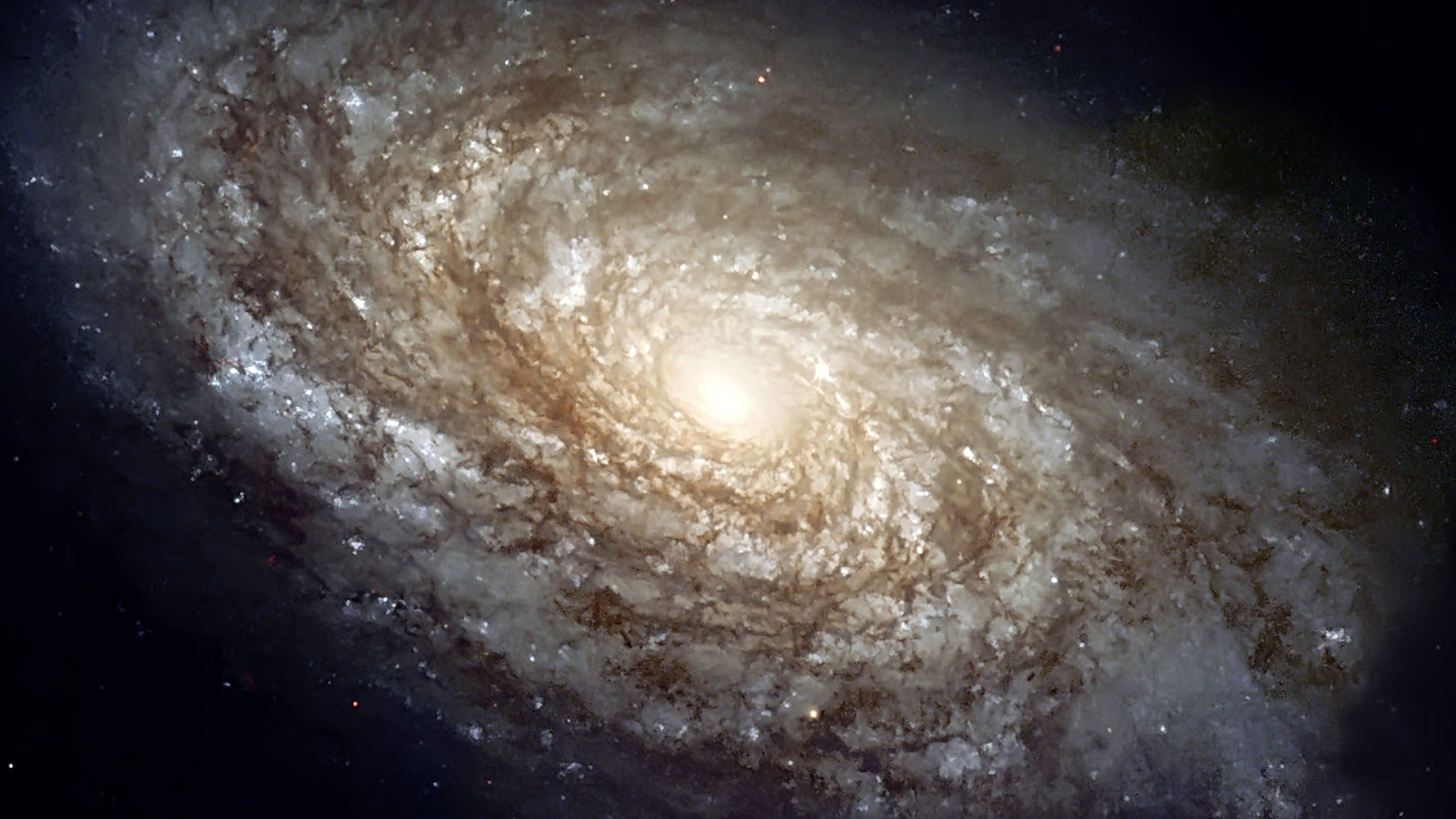 Incandescent White Stars With Brown Spiral Galaxy 2K Galaxy