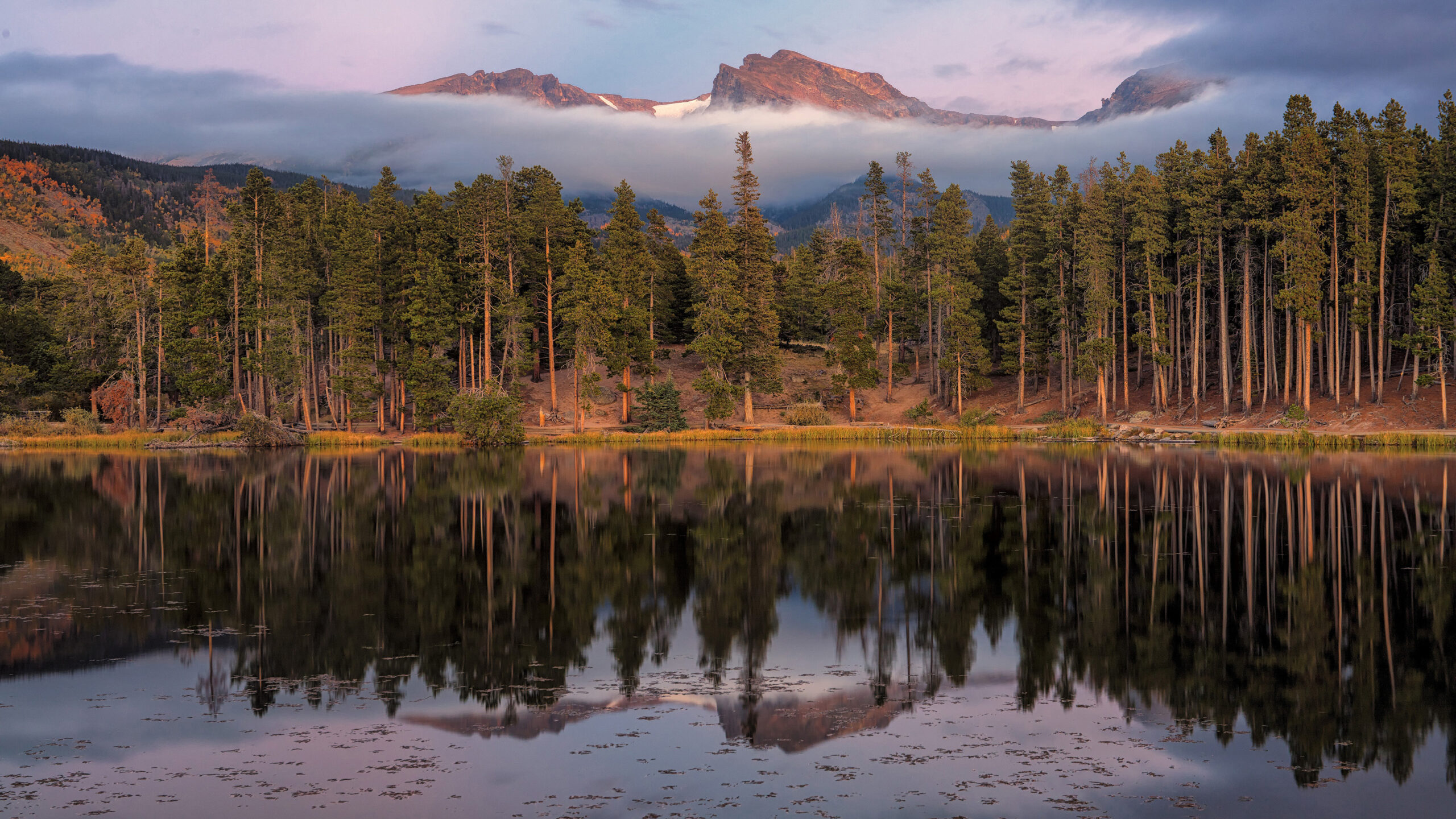 Reflection Of Pine Trees On Lake And Mountain With Clouds K 2K Nature