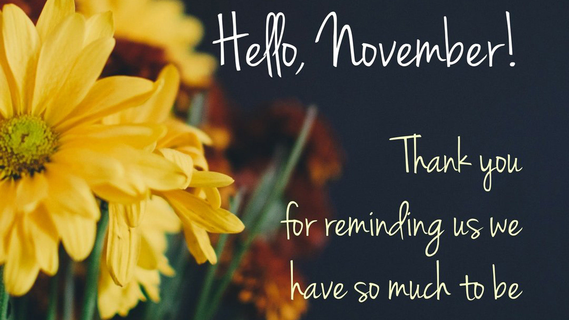 Hello November Thank You For Reminding Us We Have So Much To Be Grateful 2K November