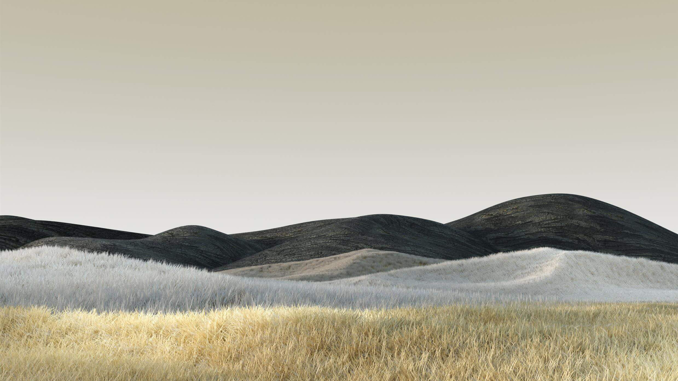Microsoft Surface Lap 4K Desert Landscape