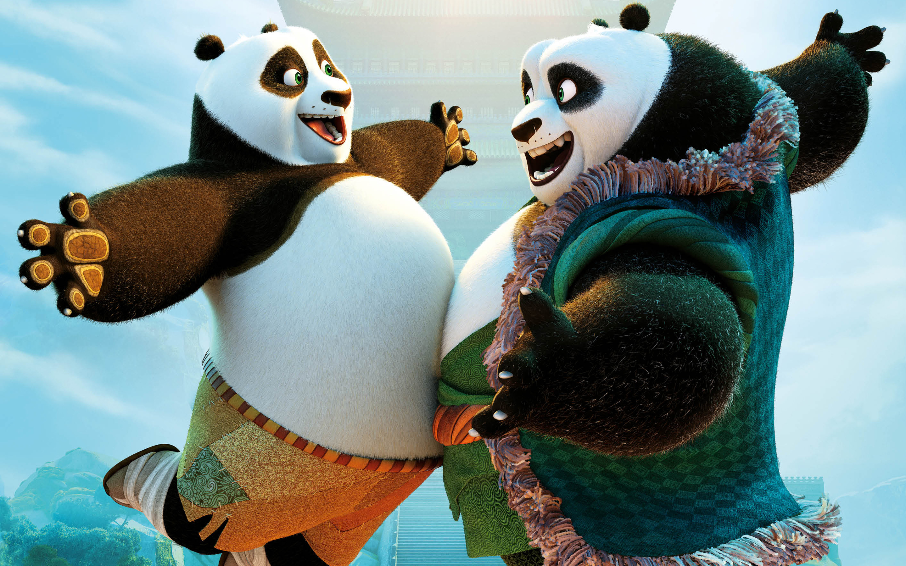 Kung Fu Panda  Animation
