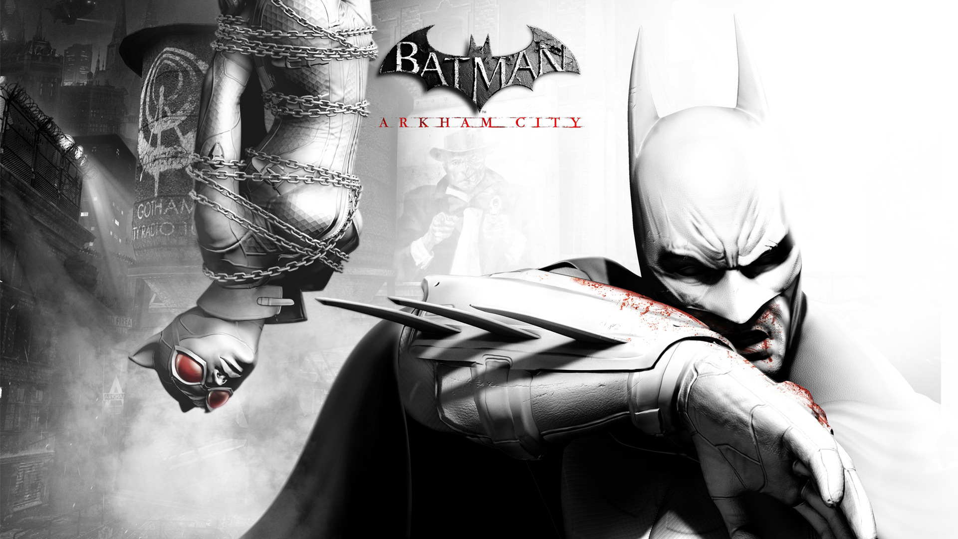 Batman Arkham City Video Game
