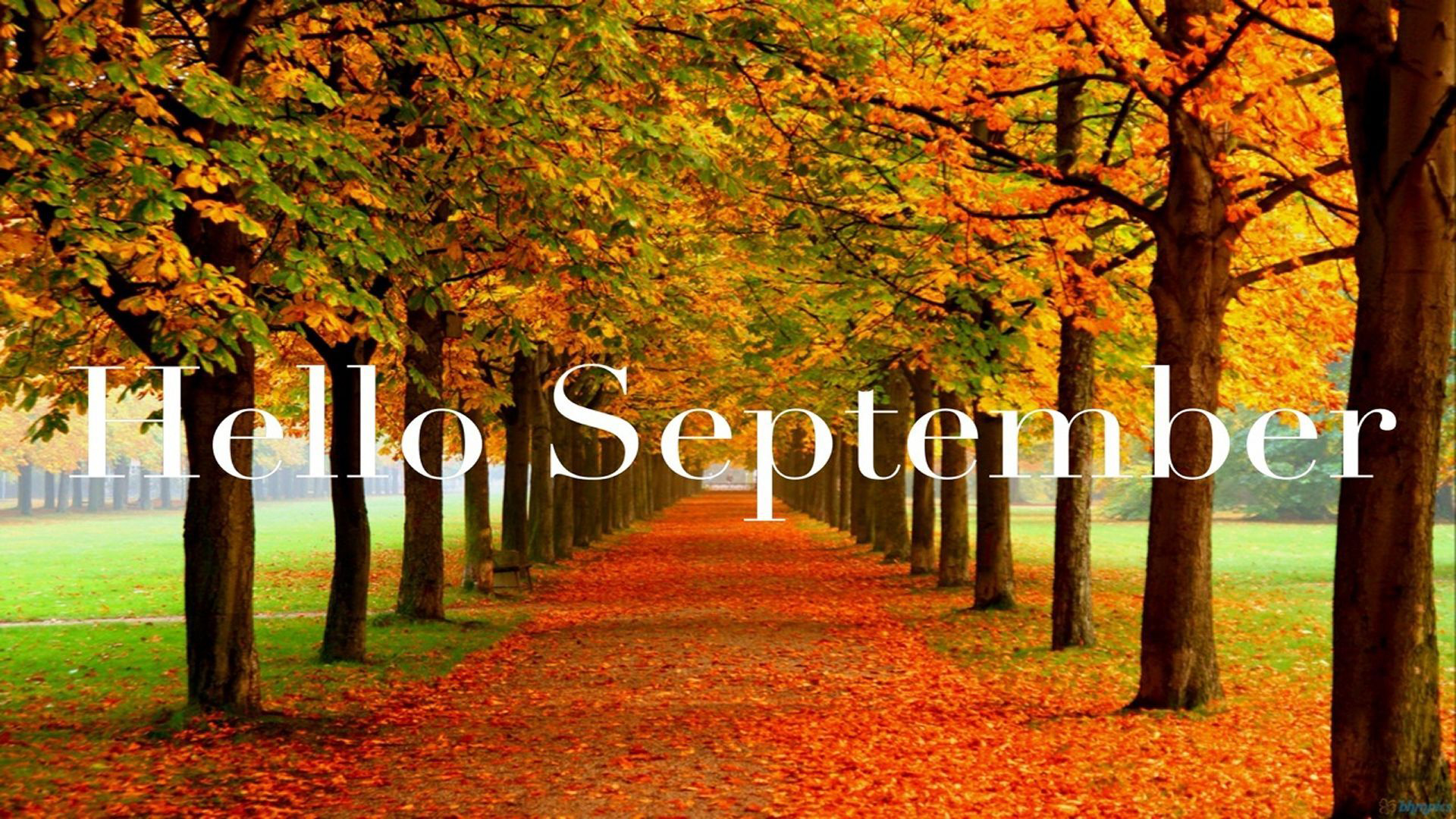 Hello September Word In Colorful Autumn Fall Trees Wallpaper 2K September