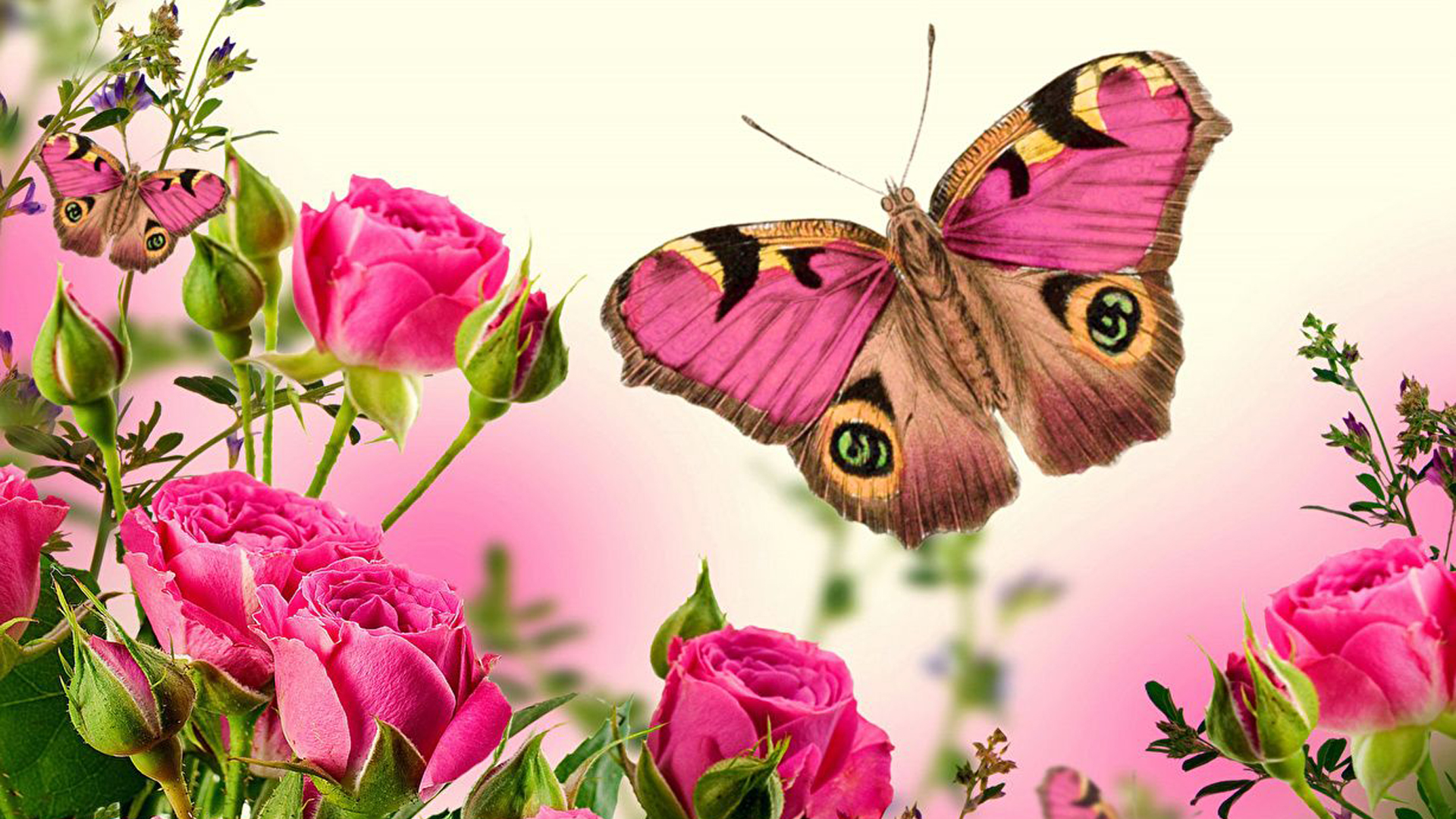 Pink Butterfly On Green Plants 2K Pink Butterfly
